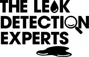 black and white the leak detection experts logo